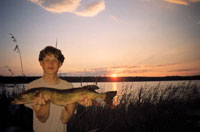1 июля 2003, щука 3,1 кг. Лесное озеро.